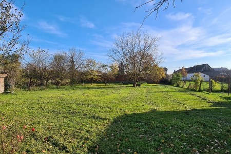 Bilje, kuća visokoprizemnica, 223,97 m2, VIRTUALNA ŠETNJA